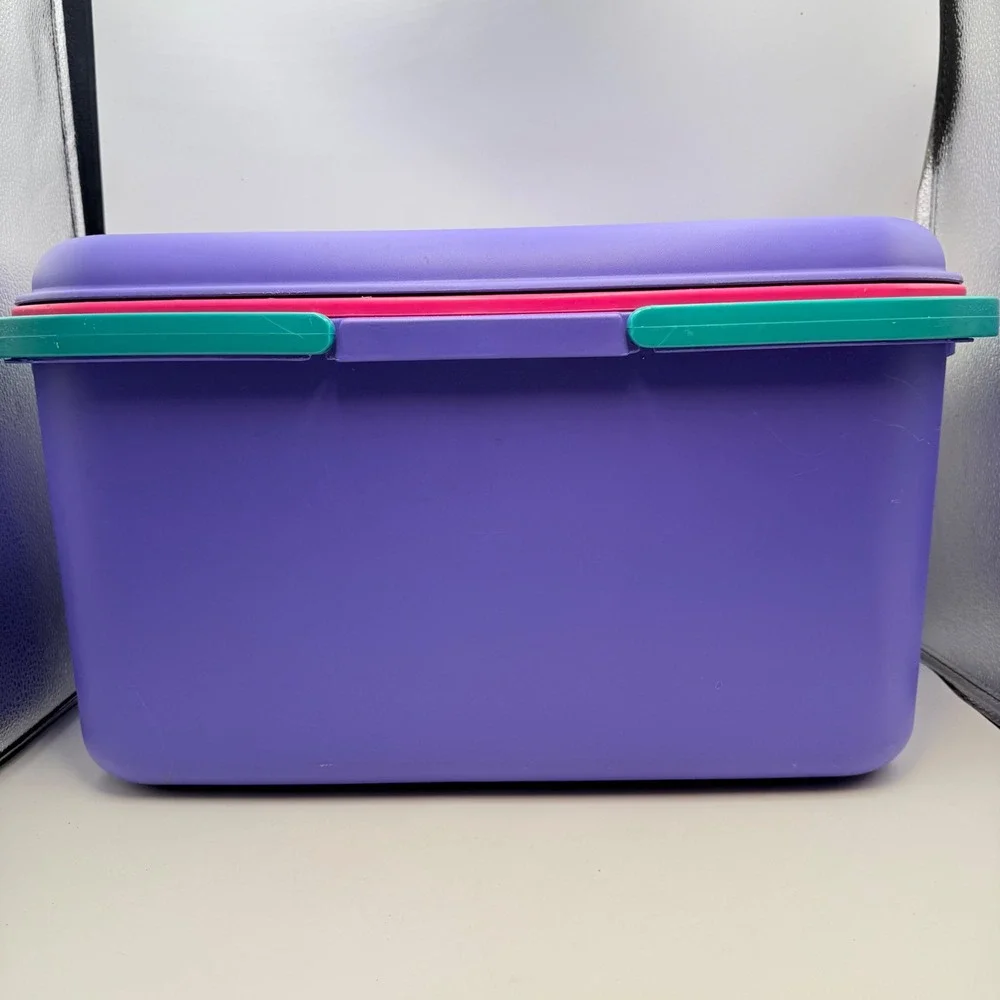 Vintage Eagle Purple Pink Teal Storage Chest with Tray 90s Retro Organizer
